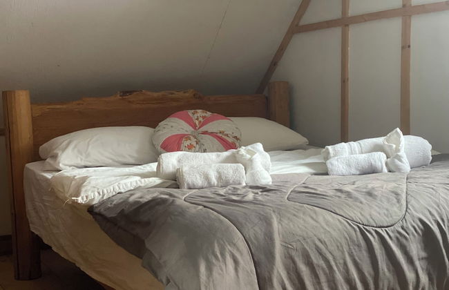 Rustic Beaverfoot Lodge Basic Cabin - Photo 6