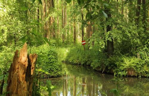 Apartments Spreewaldperle, Alt Zauche - Foto 14