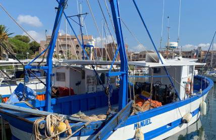 La Cigale Varoise - Hyères La Plage - Foto 22