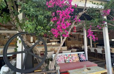 Flotillen Segeln in Griechenland inklusive Skipper und Tourguide 7 Nächte mit 7 Inseln im Ionischen Meer An- und Abreise SAMSTAG Kojencharter und Mitsegeln - Foto 33