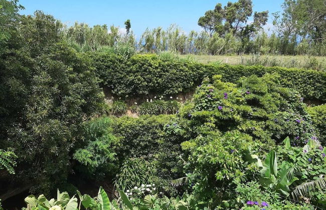 Quinta de São Braz - Foto 36