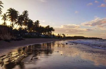 Cabanas Caraúbas - frente para o mar, ar & Tv - Foto 60