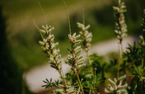 Haus Bergfrieden - Foto 74