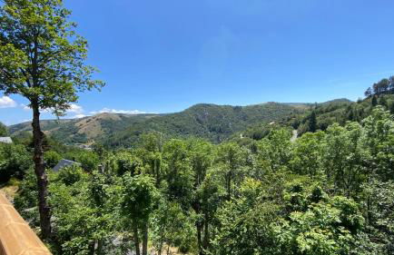 L'Eden des Cévennes - Foto 14