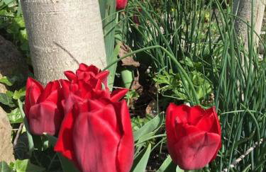 Privat Apartment- Near Strasbourg, Baden Baden - Foto 26