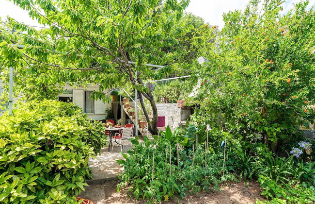 Apartments Zarac - Foto 49