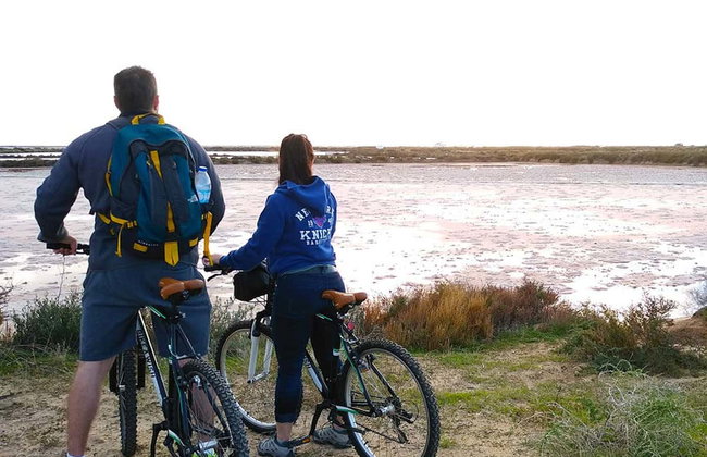 Tour en bicicleta por la Ría Formosa - Foto 4