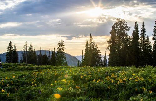 Alpine Airspace by KABINO Airpark Foosball Garage Satellite - Foto 51