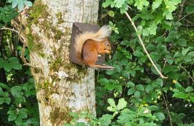 Linsmore Lodges - Foto 21