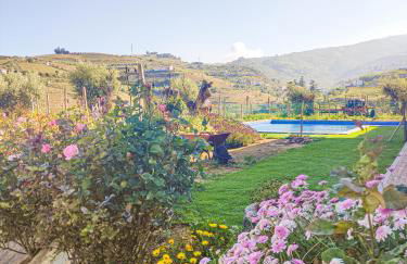 Quinta dos Padrinhos - Suites in the Heart of the Douro - Foto 49