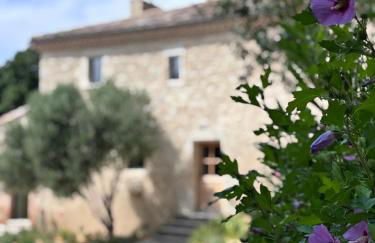 Domaine de Tayssou - Foto 12