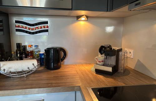 Robertsau, jardin en ville - Foto 14