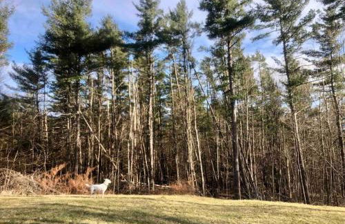 Fall Foilage in the Adirondack High Peaks! - Foto 15