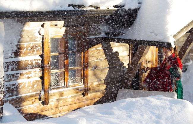 LAURI Historical Log House Manor - Photo 48