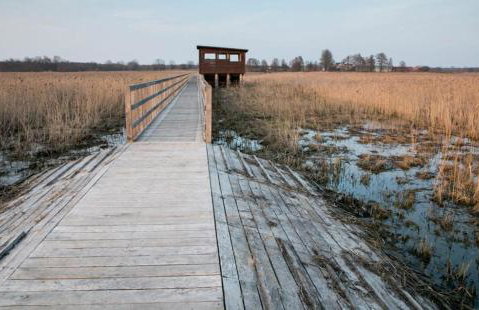 House by the Śliwno-Waniewo footbridge, close to the park - Foto 9