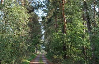 Bauernhofurlaub bei Familie Bokeloh - Foto 11