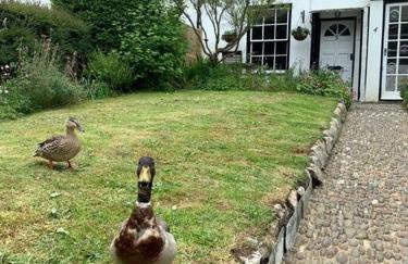 Lovely Cottage beside Surf Beaches & Bude Canal - Foto 2