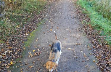 Chatterley House - Foto 126