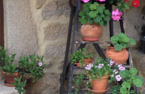 Quinta Damigo - Foto 7