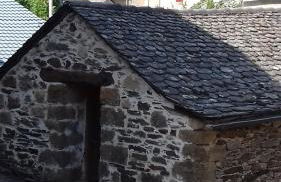 Les pruniers - Foto 10