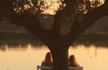 Monte da Figueira - Foto 36