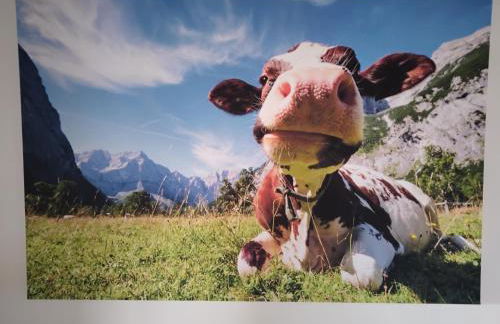 Zuhause in Hofs ,Leutkirch im Allgäu - Foto 10