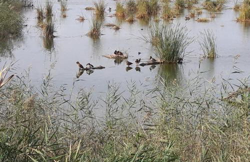 Lo Segador - Foto 24