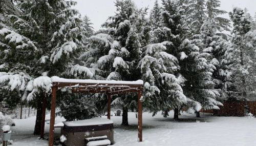 Bear’s Den Hideaway with Hot Tub - Foto 3