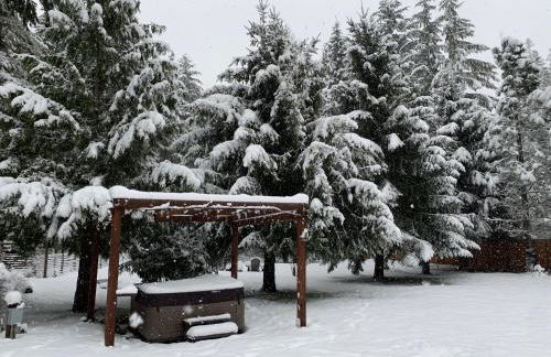 Bear’s Den Hideaway with Hot Tub - Foto 3