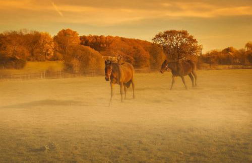 La parenthèse Normande- Balnéo - Vidéo projecteur - Foto 37