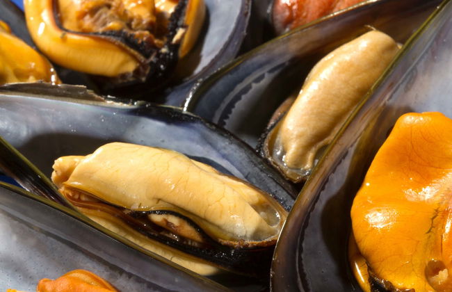 River Ebro Seafood Workshop + Mussel Tasting - Photo 1