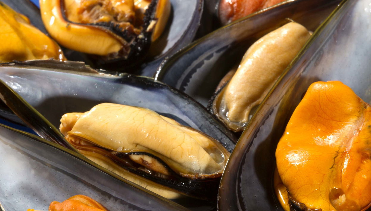River Ebro Seafood Workshop + Mussel Tasting