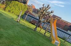 Münsterblick - Foto 15