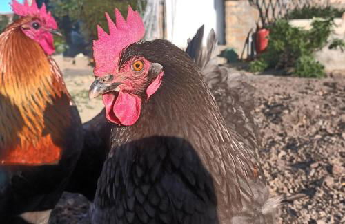 La Petite Ecole de la Baie - Foto 41
