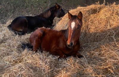 Dimora Filippo - Foto 24