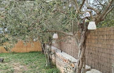 Gite la Picholine_Bourg Saint Andéol - Foto 60