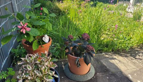 Gemütliche 4-Zimmer Wohnung mit Garten - Foto 3