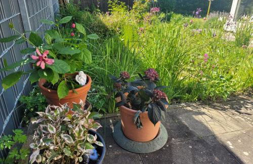 Gemütliche 4-Zimmer Wohnung mit Garten - Foto 3