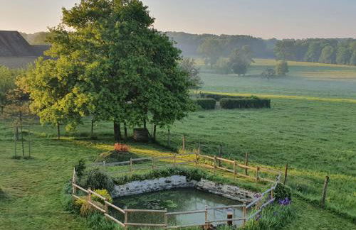 Mare aux nénuphars - Foto 13