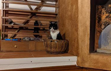 House of Polymnia - Photo 62