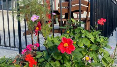 The Gate Lodge at Dunnanew - 4 Star- Sleeps 5 - Foto 4, Garden view