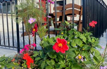 The Gate Lodge at Dunnanew - 4 Star- Sleeps 5 - Foto 4