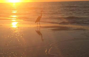 Sunset Harbor Palms 1-205, pool, fishing pier 2 guests - Foto 52