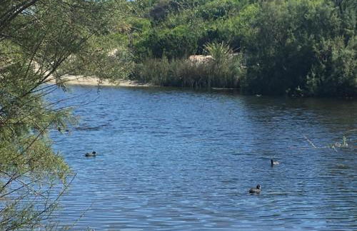 Moll Petit Apartments - Turismo de Interior - Foto 59