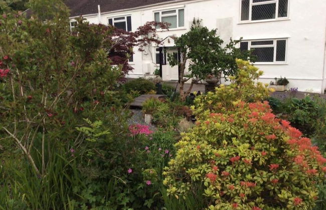 Cwmbach Cottages - Foto 74