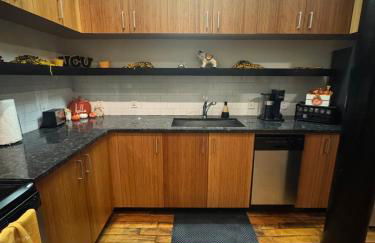 VCU Area Gem Cozy 1BR Downtown RVA - Foto 4