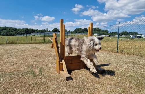 Ostseeferienpark Walkyrien - Lotse 05 - Foto 17