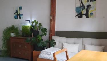 Ältestes Haus in Quentel - Ferienwohnung 2 mit Dachterrasse - Foto 4