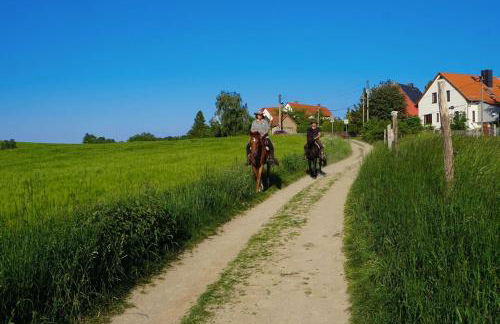 FeWo „Zum Napoleonstein“ - Foto 42