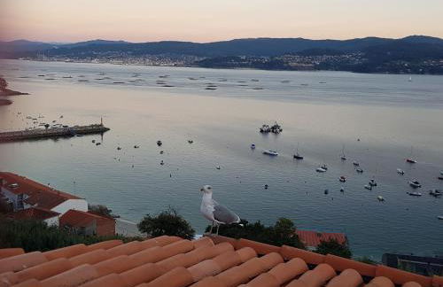 Apartamento Sanxenxo - Playa Areas - Foto 20